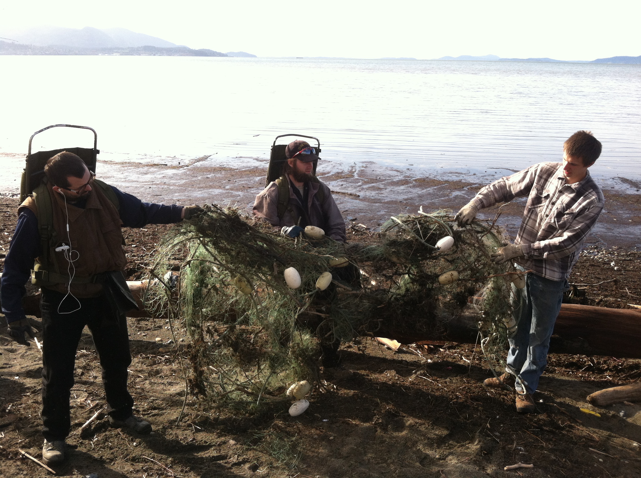 Crabbing  marine litter