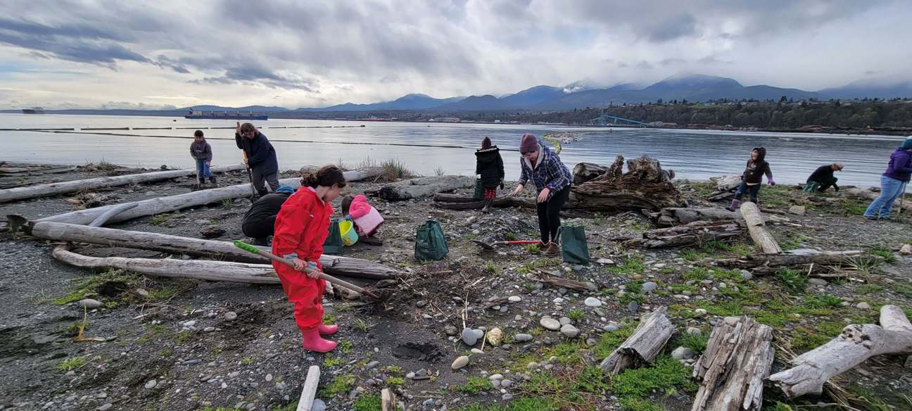 Several volunteers, including children, dig holes among beach logs